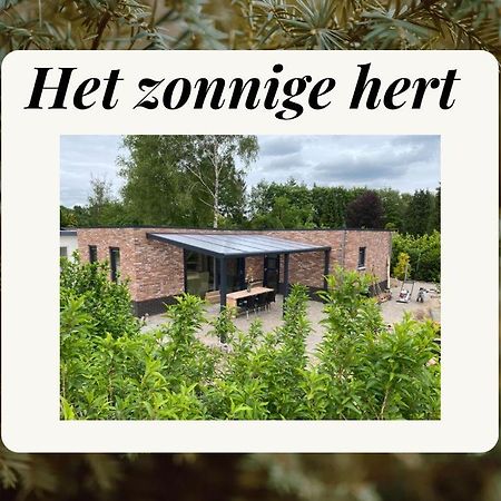 Het Zonnige Hertエルメロ エクステリア 写真