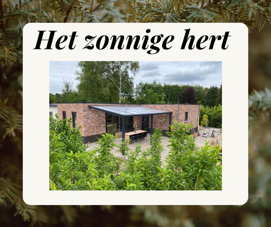 Het Zonnige Hertエルメロ エクステリア 写真